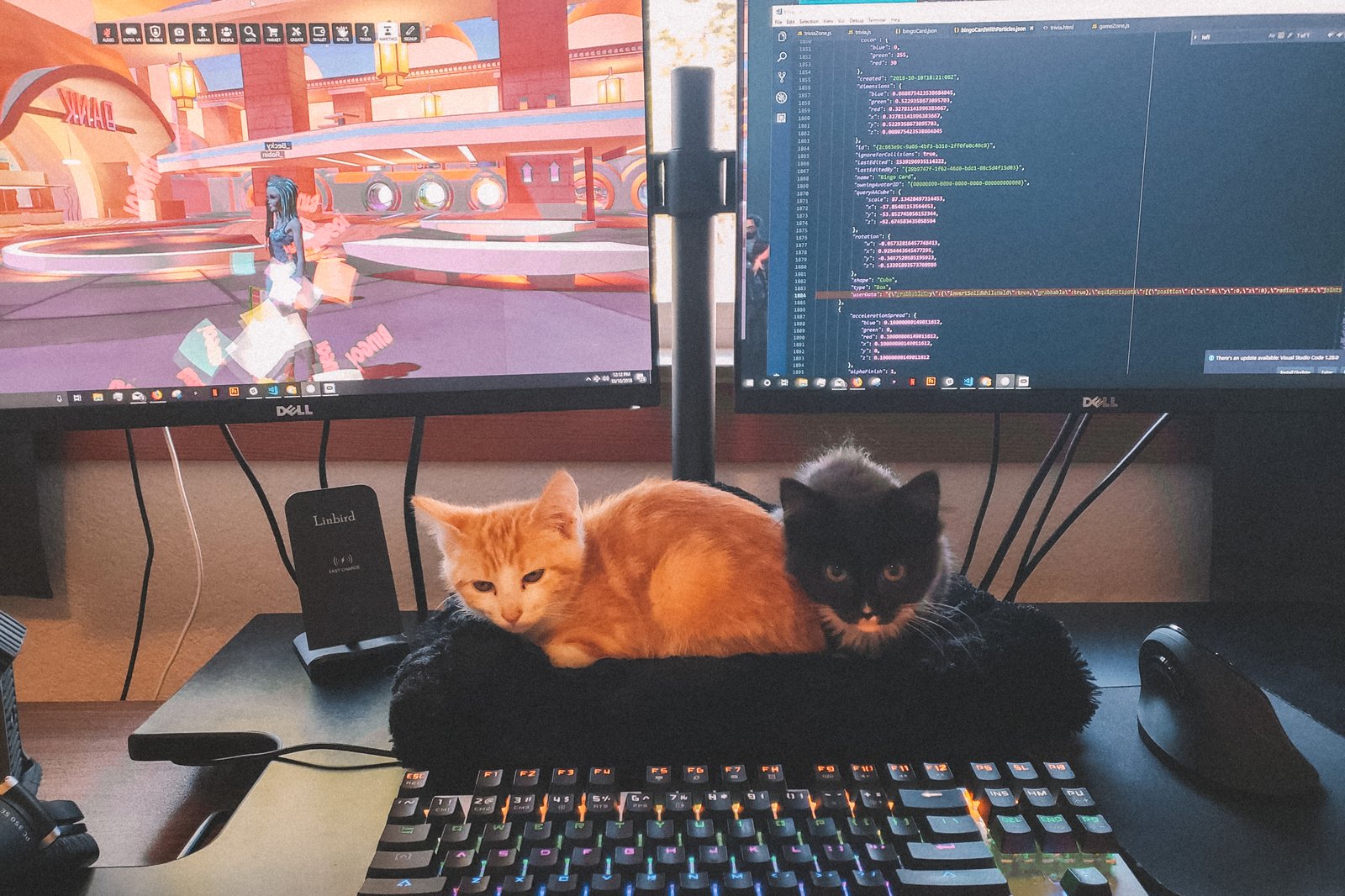 Two monitors that show a High Fidelity employee coding remotely at her home, getting to spend time with her two kittens, sitting just in front of the keyboard.