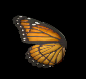 This butterfly wing combines 4 PBR maps & an emissive map to create a glowing effect in High Fidelity.